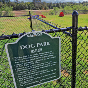 Dog Park